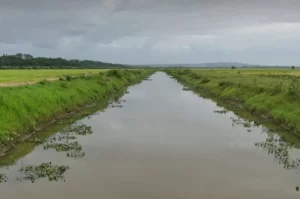 Corpo é encontrado em rio de Içara