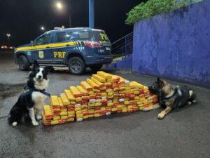 PRF apreende 200 kg de maconha em caminhão com fundo falso na BR-101