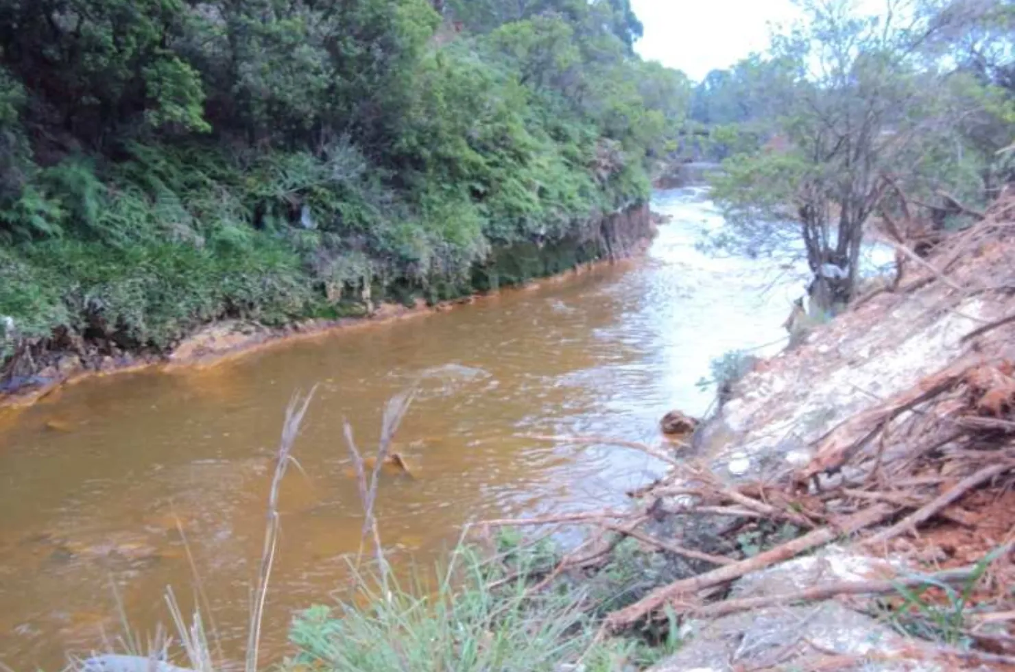 Rio Sangão