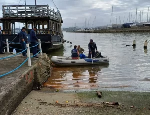Maré vermelha: Mancha alaranjada na Baía Sul é identificada, confira as imagens