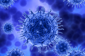 Conheça o vírus que pode causar uma nova epidemia