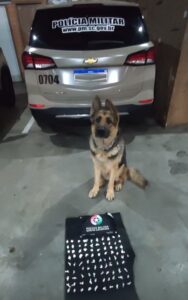 Cão policial auxilia na localização de drogas em Criciúma