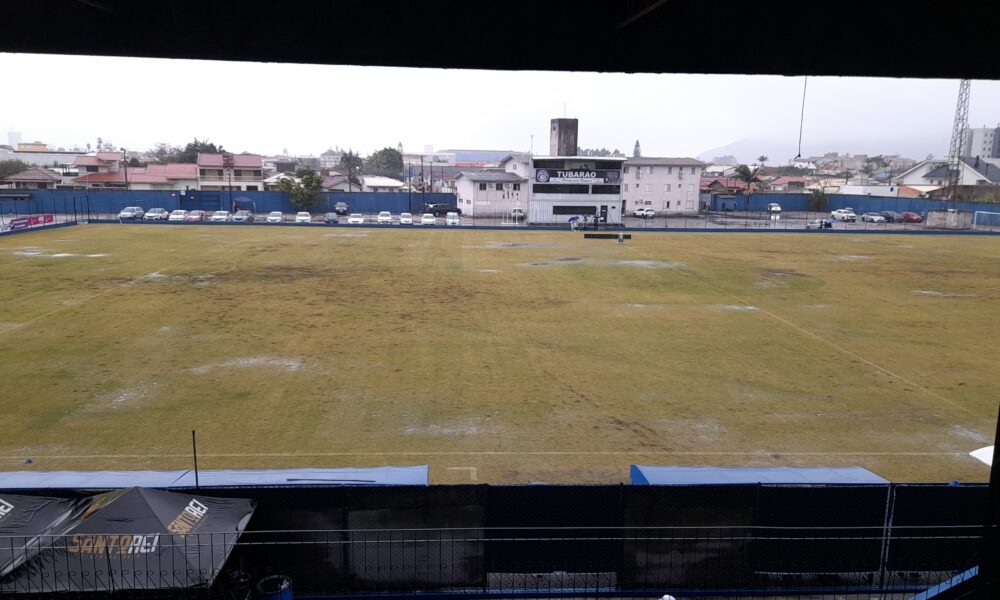 Gramado do Domingos Gonzáles chama a atenção antes da bola rolar