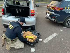 PRF apreende 45 kg de maconha em operação na BR-101