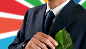 A economia da natureza e o futuro dos negócios: desafios e oportunidades no contexto dos ODS da Agenda 2030