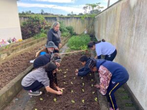 Estudantes cultivam horta em escola municipal e mudam hábitos alimentares