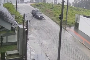 Vídeo: Motorista mata cachorro atropelado em Morro da Fumaça