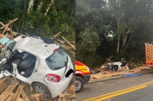 Acidente mata motorista e cachorro na BR-282