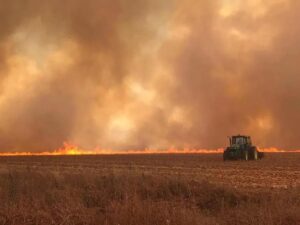 [VÍDEO] Incêndios de grandes proporções deixam rastro de destruição em municípios do interior paulista