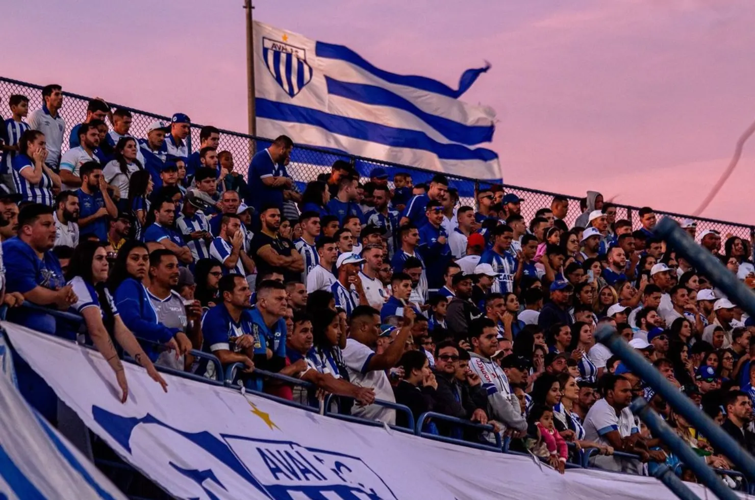 Torcida do Avaí, pesquisa afirma que é a maior de Santa Catarina