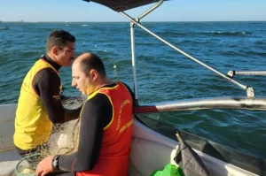 Operação de resgate de baleia jubarte com redes de pesca em mar agitado, com apoio de embarcação