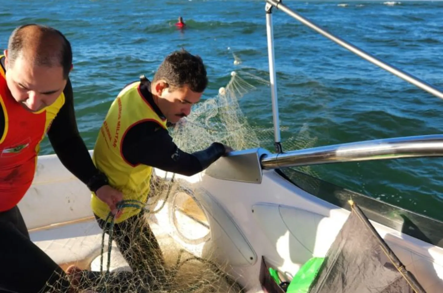 Bombeiros resgatando baleia jubarte presa em rede de pesca em Balneário Piçarras, próximo à Ilha Feia