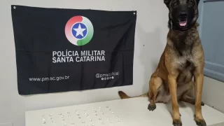 Cão Argo com as pedras de crack apreendidas