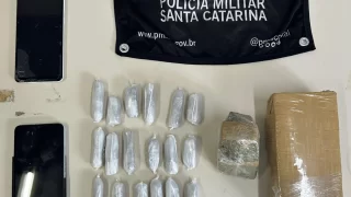 Imagem mostrando a droga apreendida pela polícia: sacola contendo maconha dividida em pedaços grandes e pequenos, totalizando 714 gramas