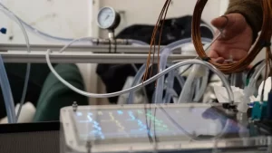 Empresa cofundada por brasileiro oferece serviço para quem busca regressar após a morte