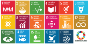 Agenda 2030: Um Panorama Global e o Papel Estratégico do Movimento Nacional ODS SC para a sustentabilidade de Santa Catarina