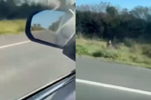 Homem é flagrado se masturbando em beira de estrada de Criciúma
