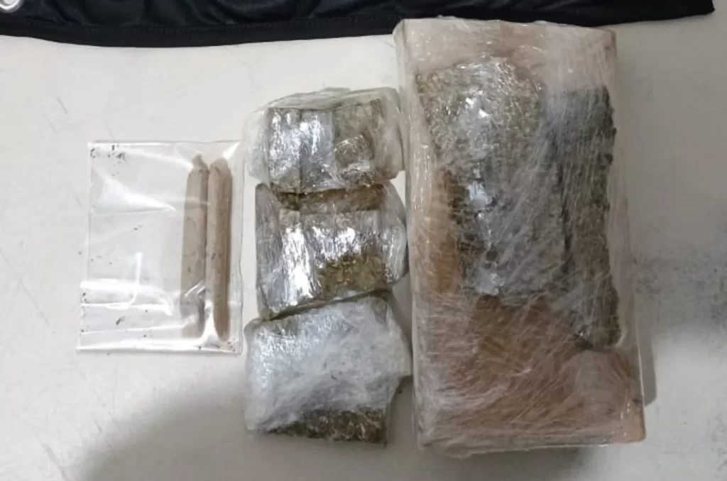 Imagem da quantidade apreendida de 589,30 gramas de maconha após a prisão por tráfico de drogas em São João do Sul