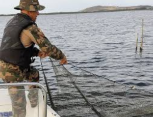Polícia ambiental apreende redes ilegais em operação contra pesca predatória