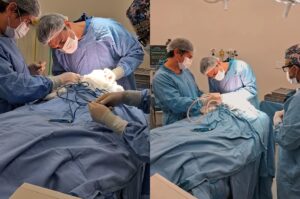 Hospital de Brusque realiza primeira neurocirurgia pediátrica em bebê de 10 meses