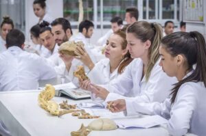 Medicina da Univali tira nota máxima no MEC