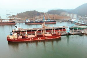 Movimentação do porto de São Francisco do Sul cresce 16% no semestre