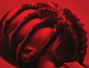 Confira a programação dos cinema de Criciúma