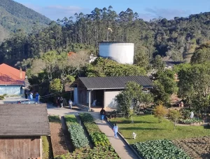 Eletricista morre após levar choque elétrico enquanto trabalhava na Grande Florianópolis