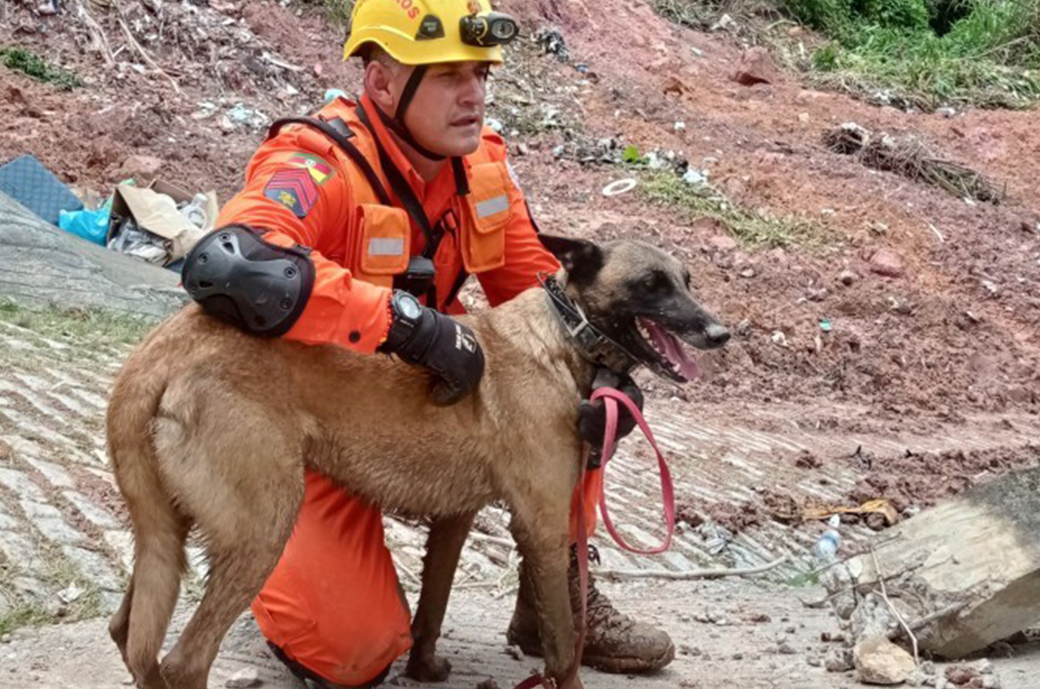 Divulgação / Bombeiros