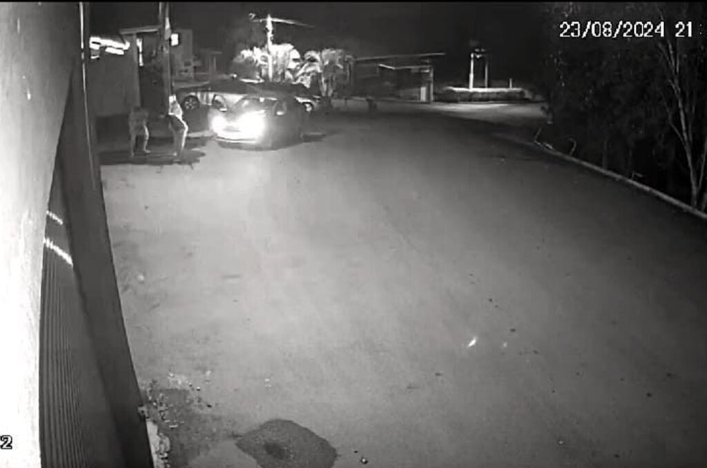 Divulgação Corpo de Bombeiros