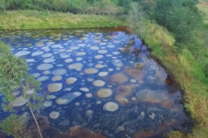 Contaminação de lagoa em Capivari de Baixo é discutida na Alesc