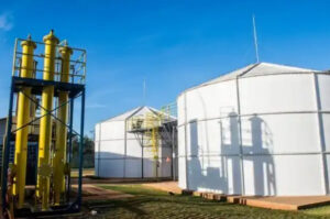 Plano Clima e investimento em biogás são opções para reduzir emissões de metano