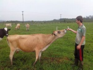 Estão abertas as inscrições para curso de terapia na agricultura familiar em Araranguá