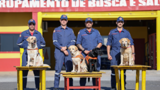 Corpo de Bombeiros de SC investe em treinamento conjunto de cães