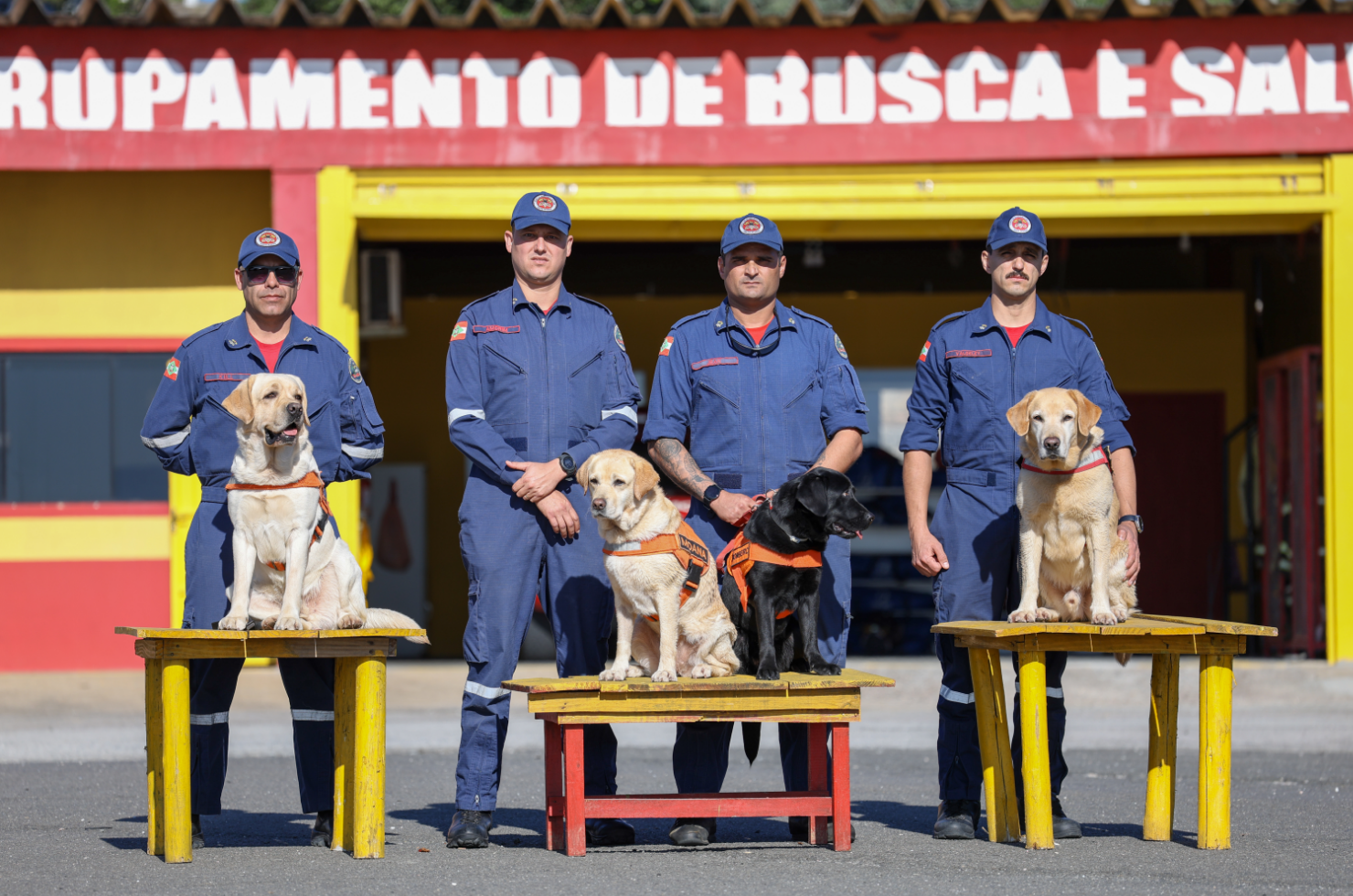 Corpo de Bombeiros de SC investe em treinamento conjunto de cães