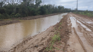 "Estamos condenando a Madre a morte", diz membro do conselho rural