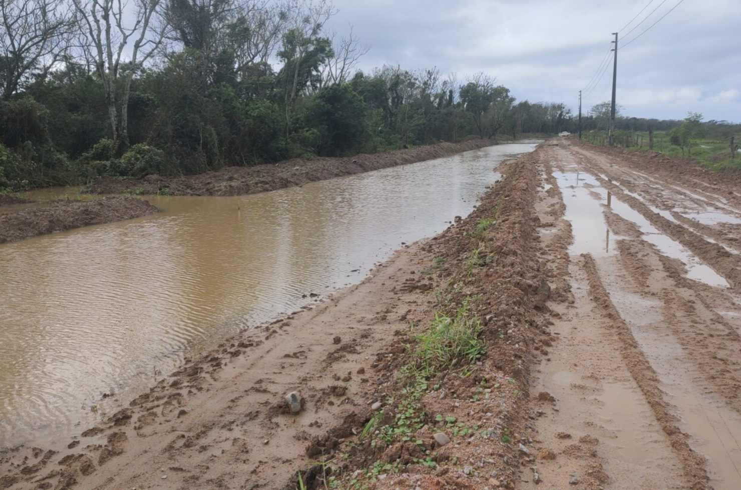 "Estamos condenando a Madre a morte", diz membro do conselho rural