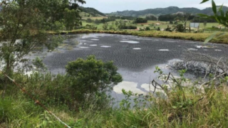 Deputado pede providências para recuperação do “Lago de Óleo”