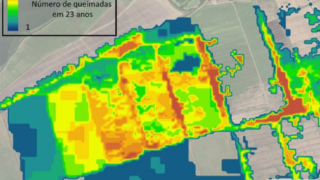 TCC apresenta as principais causas de incêndios ambientais em SC