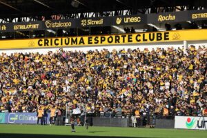 Tigre tem 36,81% de chances de queda