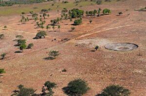 Brasil enfrenta a pior seca desde 1950, conforme registros históricos de chuvas