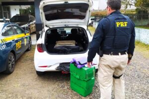 Dupla é presa com mais de 60 quilos de droga na BR-282 em SC
