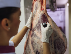ALESC aprova projeto de lei de inspeção e fiscalização em produtos de origem animal