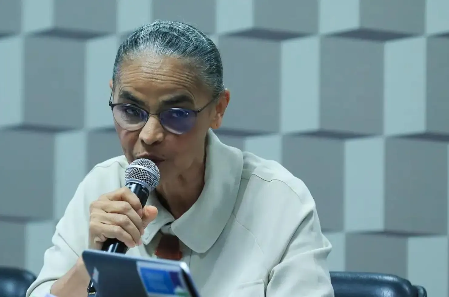 Marina Silva durante discurso