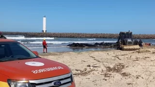 Bombeiros seguem trabalhando nas buscas por um idoso desaparecido após naufrágio em Passo de Torres