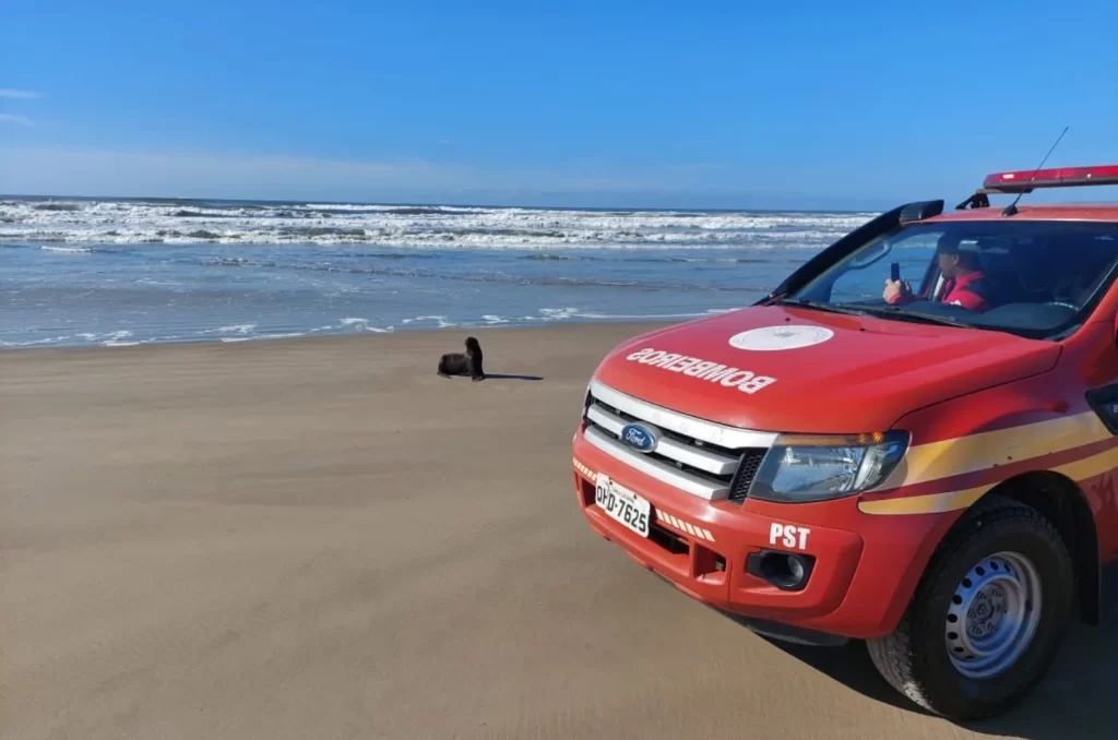 Buscas são intensificadas por desaparecido em Passo de Torres