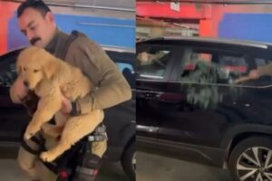 Polícia resgata cachorro trancado em carro na capital