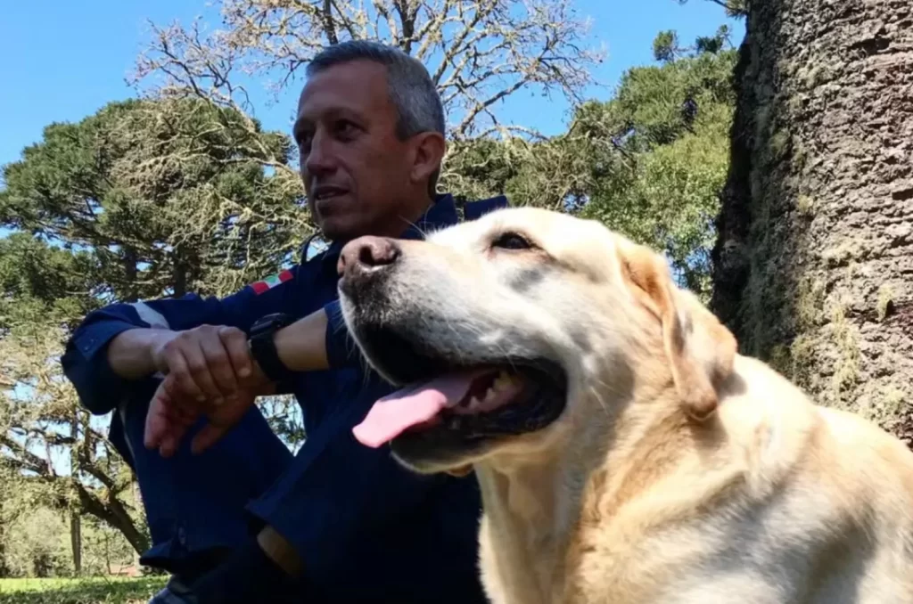 Cão Ice, o primeiro cão de resgate aquático do Brasil, que faleceu nesta segunda-feira (02)