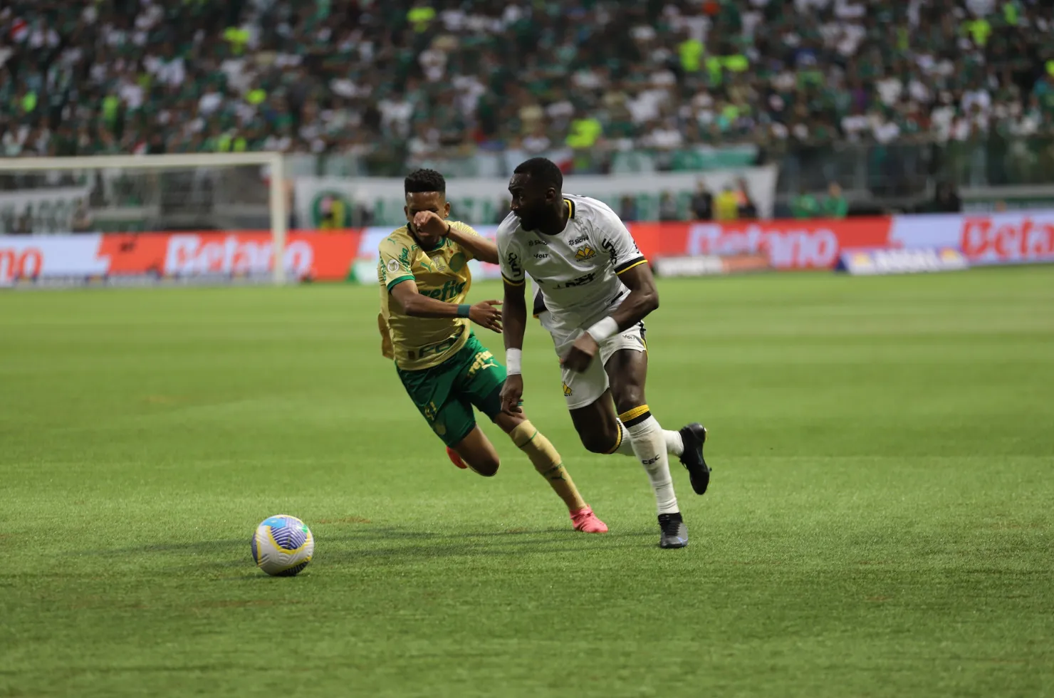 Duelo do Criciúma contra o palmeiras, que o colocou como a segunda pior defesa do Brasileirão 2024