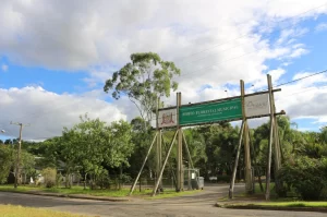Criminoso ameaça mulher e rouba carrinho de compras em Criciúma